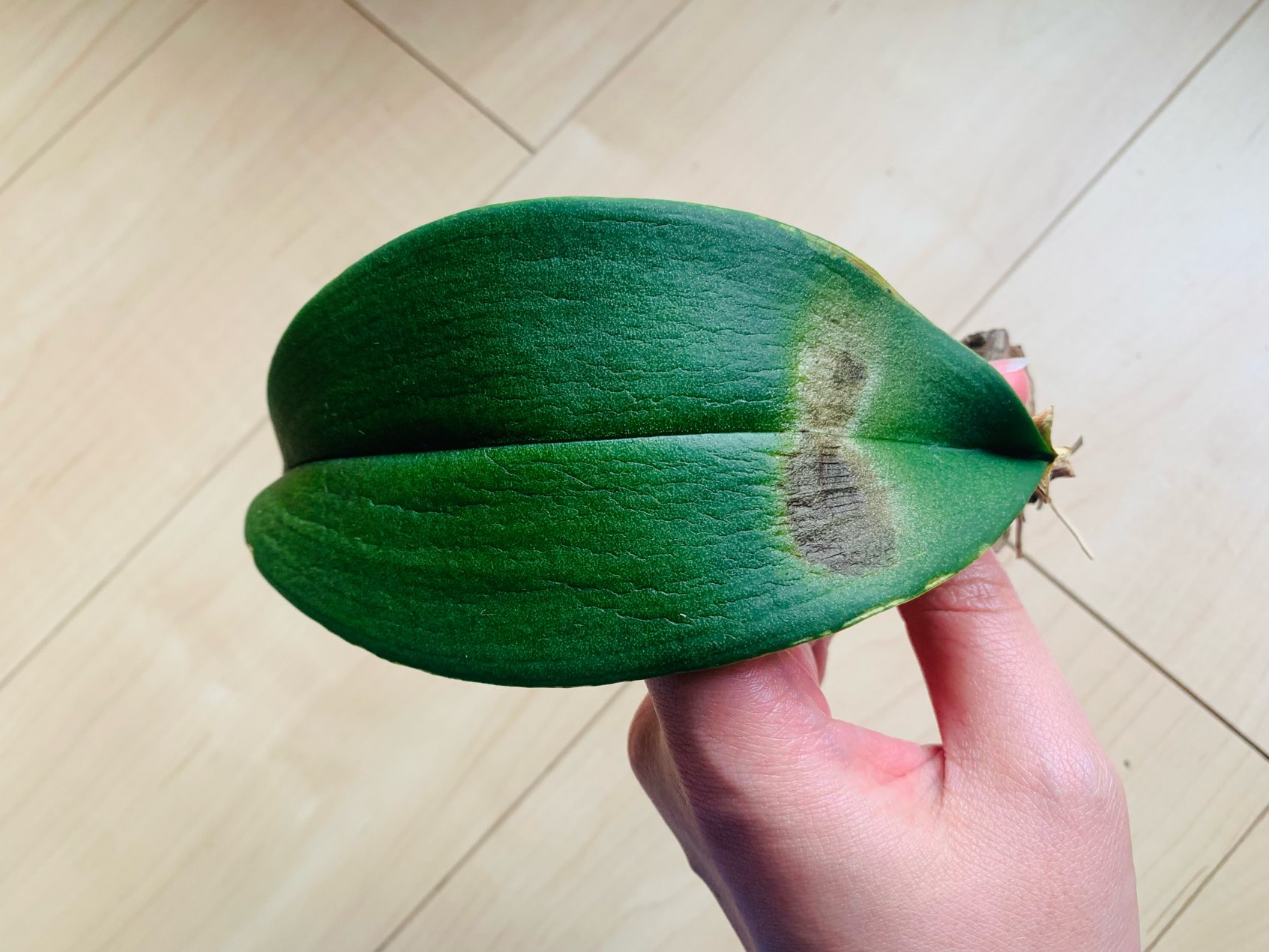 Re: ここから復活させたい