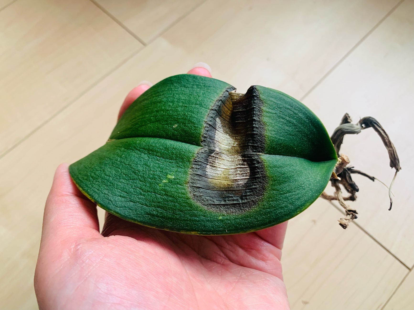 Re: ここから復活させたい